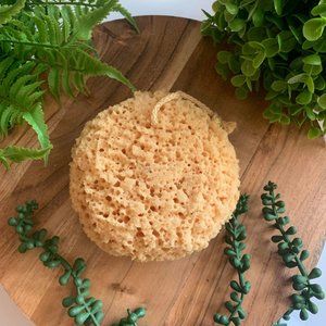 Foam Exfoliating Sea Sponge Foam Bath Pack of 3